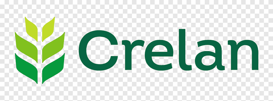 Logo du partenaire